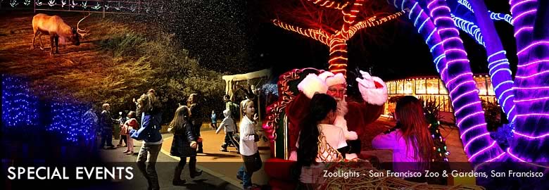SPECIAL EVENTS - ZooLights - San Francisco Zoo & Gardens, San Francisco